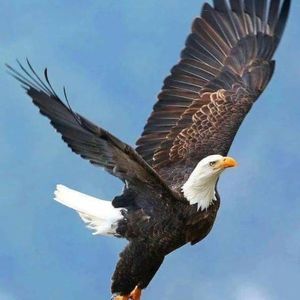 Meet your Posher, Ron